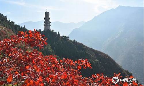 峡江天气预报15天_峡江天气预报15天查询结果