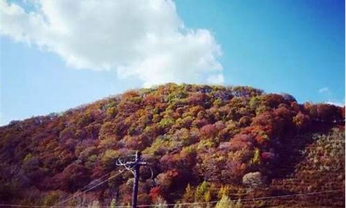 蛟河市 天气_蛟河市天气预报最新