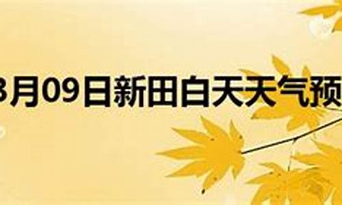 新田天气预报一周15天查询_新田天气预报