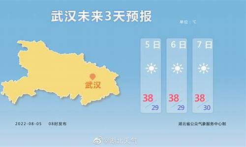 武汉天天气预报15天查询_武汉天气通