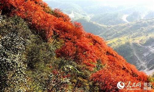 郧县天气预报15天查询结果_郧县天气